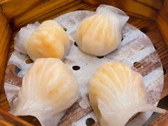 骏丰虾饺皇-骏丰酒楼(黄编店)