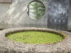 -汇龙潭