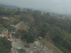 -广东花都香草世界旅游度假区