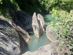 -广州白江湖森林公园