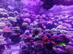 -太平洋海底世界