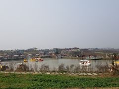 -空港花田景区