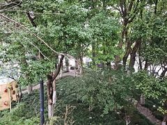 -邈墨茶馆(大兜路1号店)