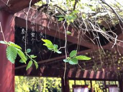 -时间集(东润·泰和苑店)