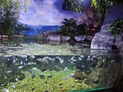 -常州海昌海洋探索馆