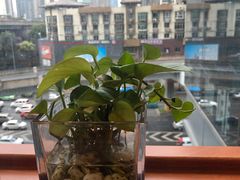 -西西弗书店&矢量咖啡(万象城店)