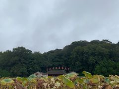 -古田会议纪念馆
