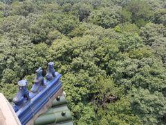 -灵谷景区