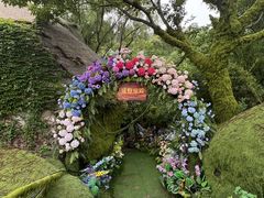 -沂蒙云瀑洞天景区