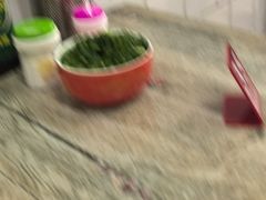 -全味面馆