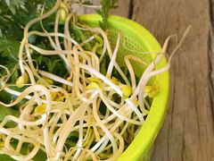 -马帮菜馆·美味野生菌
