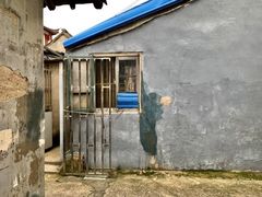 -周浦小上海步行街
