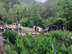 -白水寺森林公园