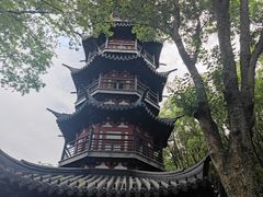 -上海佘山国家森林公园西佘山园