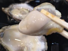 悉尼石蚝-悉尼鱼市场