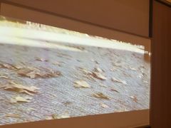 -和子足浴SPA会馆(竹山路店)