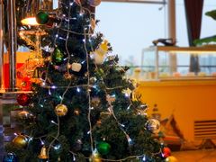 -火舞泰·泰式海鲜火锅餐厅(世纪城店)