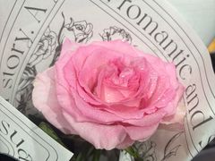 -FEI FEI FLOWER鲜花店·气球派对·宝宝宴布置(虹口德必运动Loft店)