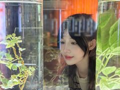 -广东中医药博物馆