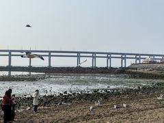 -黑石礁公园