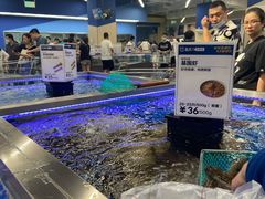 -盒马X会员店(上海森兰商都店)
