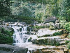 -大鄣山卧龙谷景区