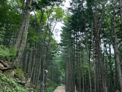 -洛阳白云山景区