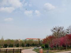 -绿岛公园(滨海新区)