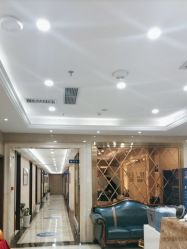 -碧莲盛·不剃发植发