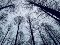 -柳莺湖上·湖景餐厅·江南菜(西湖店)