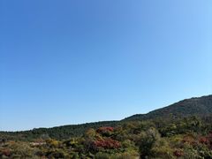 -龙洞风景区-藏龙涧