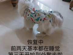 -福州肆爪动物医院