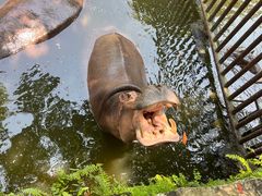 -海南热带野生动植物园
