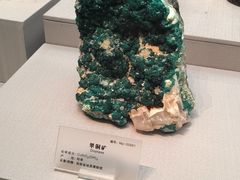 -湖南省地质博物馆