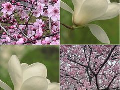 -趣飞飞黑麋峰国际滑翔伞基地