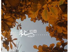 -莫子山公园