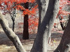 -国家植物园南园