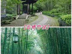 -杭州半山国家森林公园