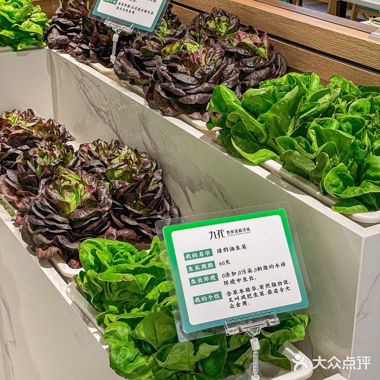 关于我在西安连吃三天的养生汤火锅！巨香！