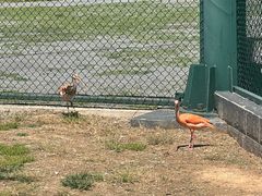 -秦皇岛野生动物园