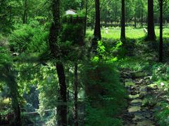 -素山寺森林公园