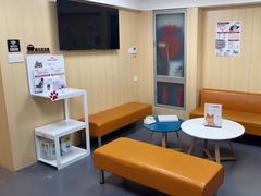 -申普宠物医院·心脏介入·心血管微创(总院)