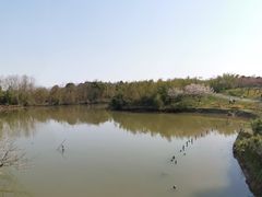 -上海海湾国家森林公园