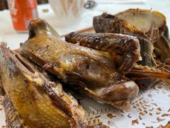 黄泥鸽子-食家鸽园