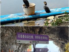 -荔江湾景区