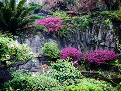 -南山植物园