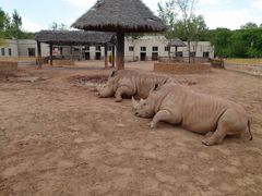 -鄂尔多斯野生动物园