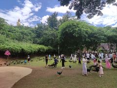 -西双版纳勐泐文化旅游区