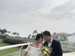 -百万葵园