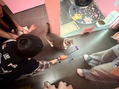 -宝龙城(杭州滨江店)